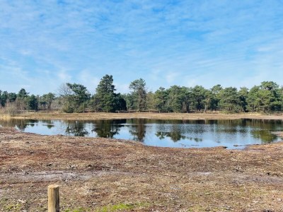 Bungalow Bavelds Home - Denekamp - Environment photo 35