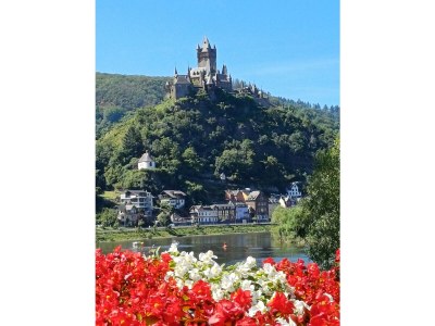 Apartment Ferienhaus Residenz Blum - Features photo 24