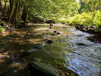 Apartment Ferienhaus Residenz Blum - Features photo 25