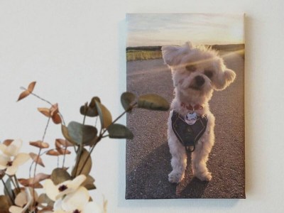 Holiday apartment Ferienwohnung Maltes Ostseekoje - Features photo 31