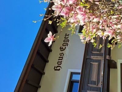 Apartment Appartement/Fewo, Dusche oder Bad, 2 Schlafraum in Jochberg - Apartment