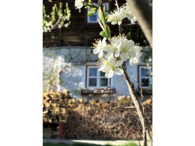 Apartment Achentaler Bauernhäusl - Outdoor photo 4