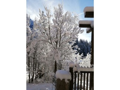 Apartment Achentaler Bauernhäusl - Outdoor photo 8