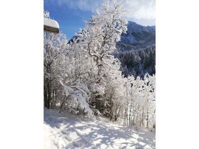 Apartment Achentaler Bauernhäusl - Outdoor photo 10