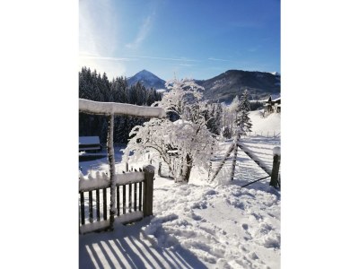 Apartment Achentaler Bauernhäusl - Outdoor photo 11