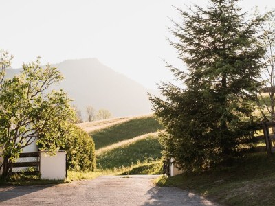 Apartment Ferienwohnung Waldgarten - Outdoor photo 6