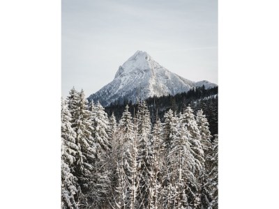 Apartment Ferienwohnung Waldgarten - Outdoor photo 19