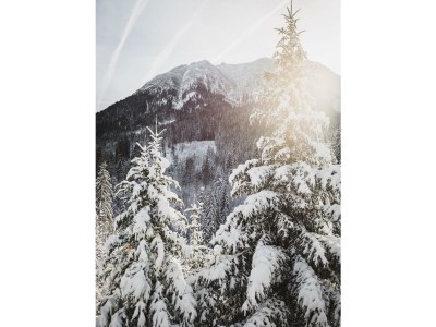 Apartment Ferienwohnung Waldgarten - Outdoor photo 20