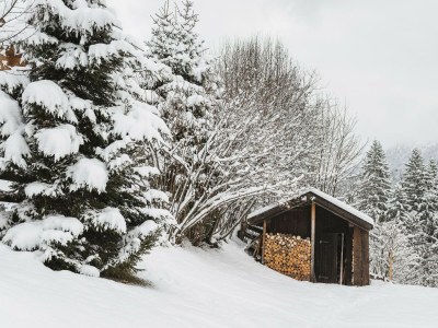 Apartment Ferienwohnung Waldgarten - Outdoor photo 24