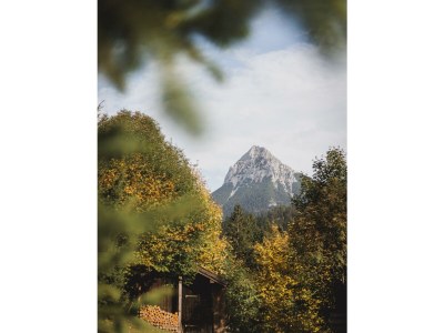 Apartment Ferienwohnung Waldgarten - Outdoor photo 37