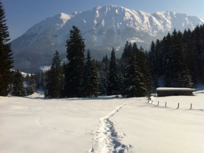 Apartment Ferienhaus Guffertblick - Outdoor photo 8