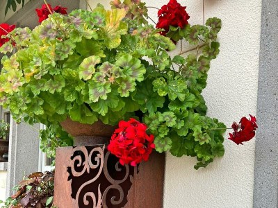 Apartment Ferienhaus Guffertblick - Outdoor photo 17