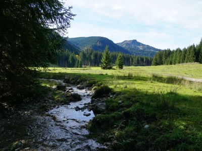 Apartment Ferienhaus Guffertblick - Outdoor photo 20