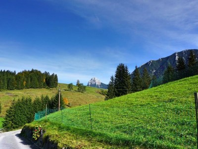 Apartment Ferienhaus Guffertblick - Outdoor photo 26