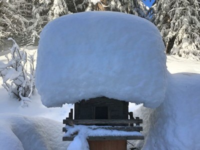 Apartment Ferienhaus Guffertblick - Outdoor photo 39