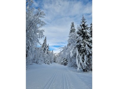 Apartment Appartement 1 - Outdoor photo 15