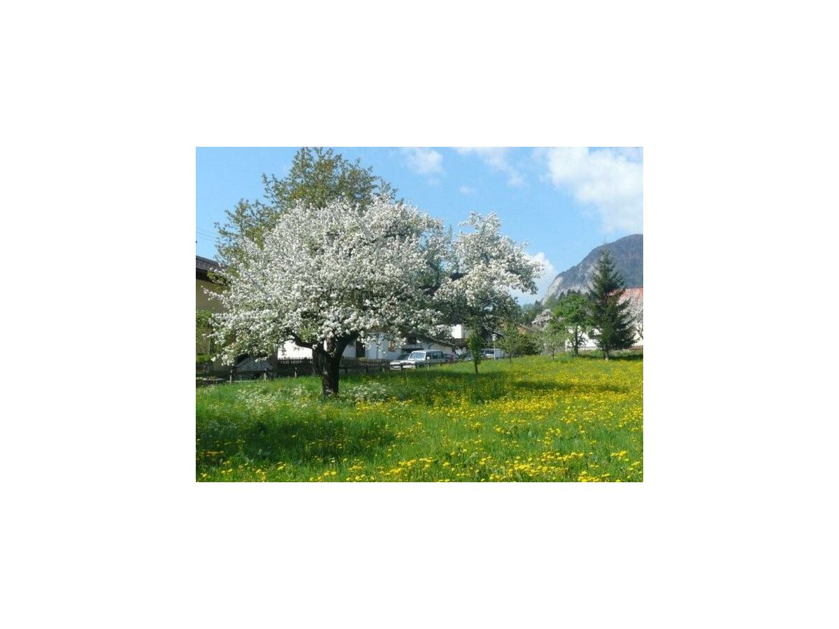 Holiday room Doppelzimmer Talblick - Outdoor photo 5