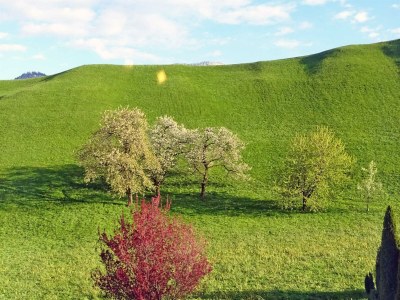 Holiday room Doppelzimmer Talblick - Outdoor photo 8