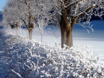 Holiday room Doppelzimmer Talblick - Outdoor photo 27