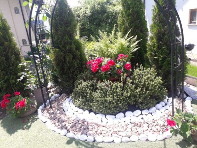 Apartment Panorama Wohnung - Outdoor photo 12