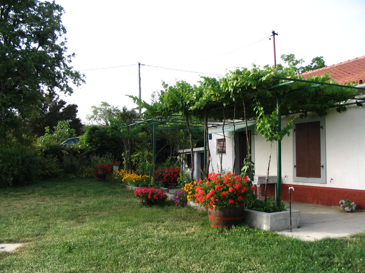 Holiday house Violeta - Outdoor photo 3