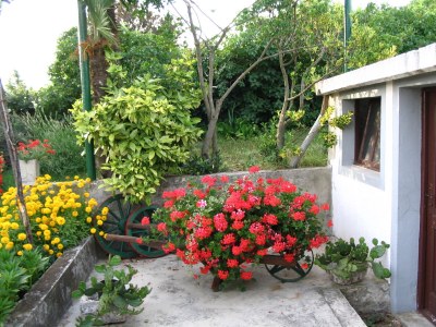 Holiday house Violeta - Outdoor photo 5