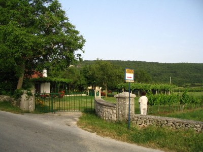 Holiday house Violeta - Outdoor photo 8