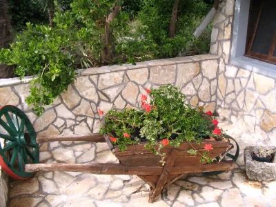 Holiday house Violeta - Outdoor photo 9