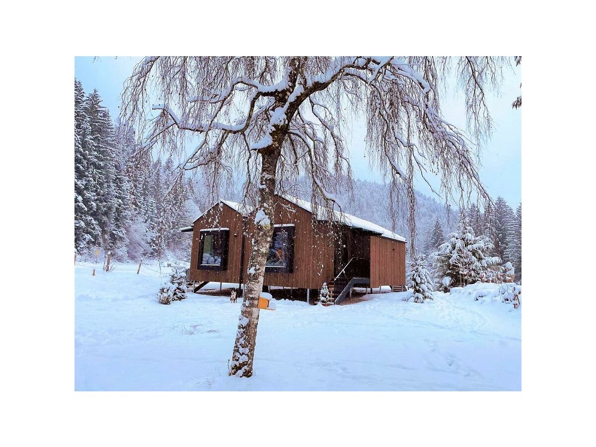 Apartment Tiny House "Wald" für 4 Personen