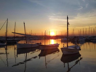 Apartment Apartment in Costa Brava near Sandy Beaches - Environment photo 33