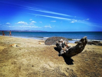 Apartment Strandurlaub mit Garten - Outdoor photo 8