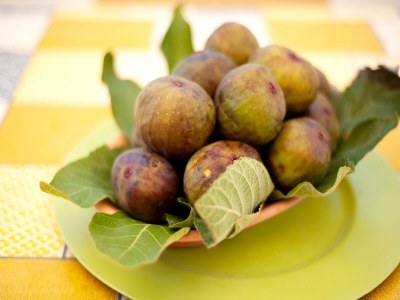 Apartment Strandurlaub mit Garten - Outdoor photo 35