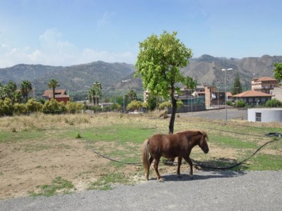 Villa Villa in Gaggi mit Pool in der Nähe des Ätna - Environment photo 30