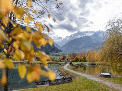 Holiday park Luxury chalet with private sauna in Uttendorf - Outdoor photo 41