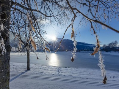 Holiday park Luxury chalet with private sauna in Uttendorf - Outdoor photo 57