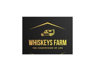 Apartment Ferienwohnung Streamatze - Outdoor photo 11