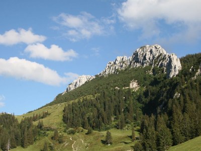Holiday apartment Spitztstein on the Bergerhof - Environment photo 18