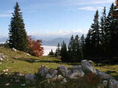 Holiday apartment Spitztstein on the Bergerhof - Environment photo 20