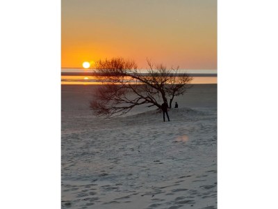 Holiday apartment - 2 min zum Strand - Environment photo 25