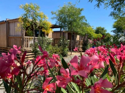 Holiday house Mobilheim in Malgrat de Mar am Strand - Outdoor photo 12