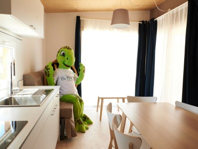 Holiday house Mobilheim in Malgrat de Mar am Strand - Features photo 22