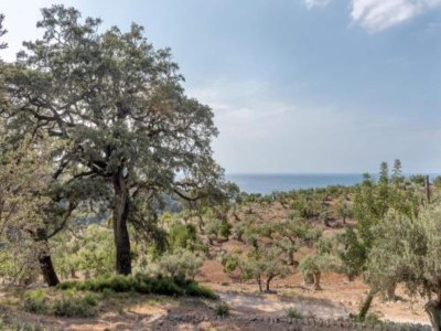 Bungalow Bungalow in Malgrat near Golden Beaches - Environment photo 11