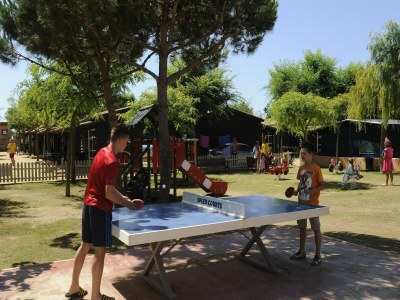 Bungalow Bungalow in Malgrat near Golden Beaches - Outdoor photo 34