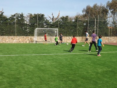 Holiday house Cosy bungalow with terrace - Environment photo 24