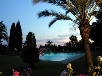 Chalet Good standard furnished chalet on nice park - Outdoor photo 27