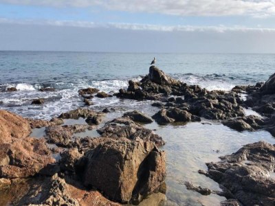 Bungalow Bungalow near Pals Beach with Pool - Environment photo 13