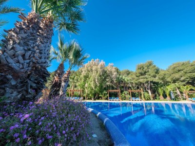 Holiday house Tolles Zelt für 4 Personen - Outdoor photo 13