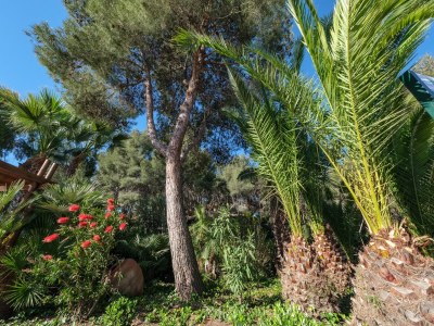 Holiday house Tolles Zelt für 4 Personen - Outdoor photo 34