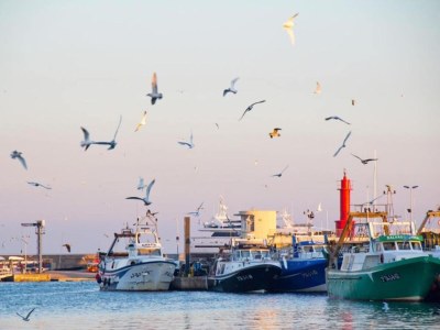 Bungalow Relaxing Getaway in Cambrils - Environment photo 17