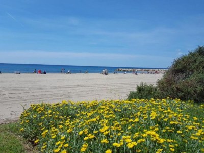 Bungalow Relaxing Getaway in Cambrils - Environment photo 19